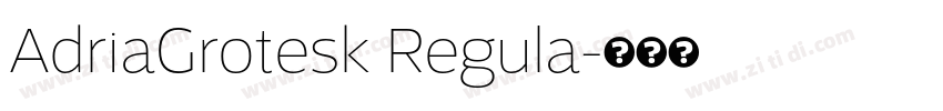 AdriaGrotesk Regula字体转换 AdriaGrotesk Regula字体转换